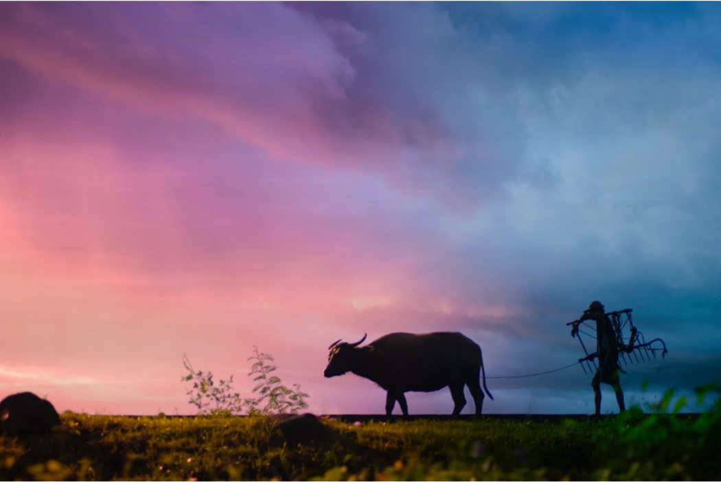 silhouette of farmer with plough and ox